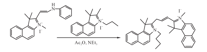 星戈瑞荧光-脂溶性CY3三甲川花菁染料的合成步骤