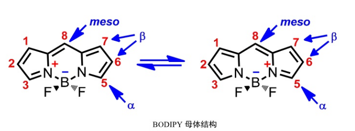 氟硼二吡咯(BODIPY)类荧光染料的光化学物理性能