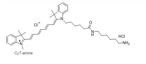 星戈瑞单品推荐-花菁染料CY3/CY5/CY7标记氨基