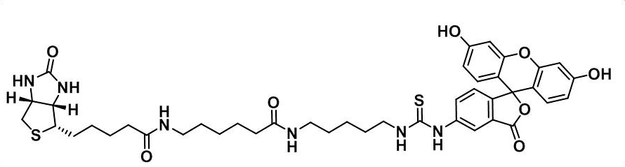 FITC-Biotin——绿色荧光素标记生物素