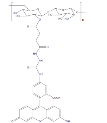 CY7-Dextran