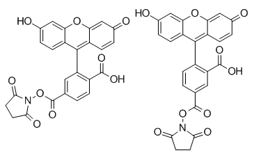 荧光标记FITC-NHS异硫氰酸荧光素-活性脂