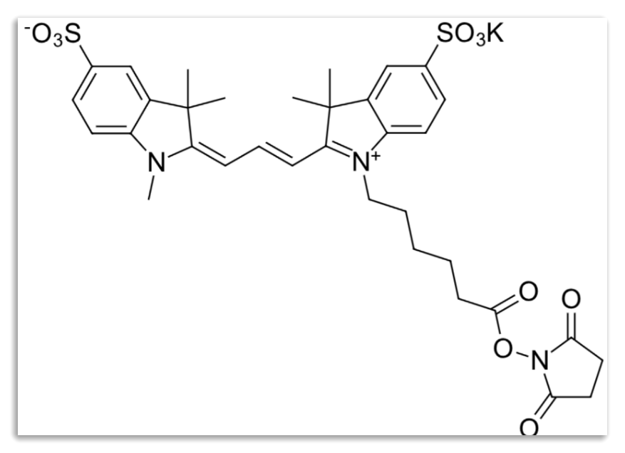 Sulfo Cy7 NHS