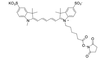 胺类活性琥珀酸亚胺酯sulfo-Cyanine7 NHS/NH2/COOH星戈瑞