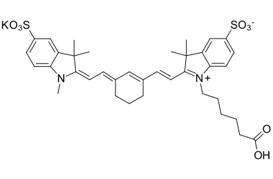 Sulfo-Cyanine7 COOH