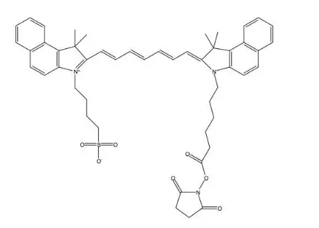 CY7.5-NHS用于标记生物分子的氨基