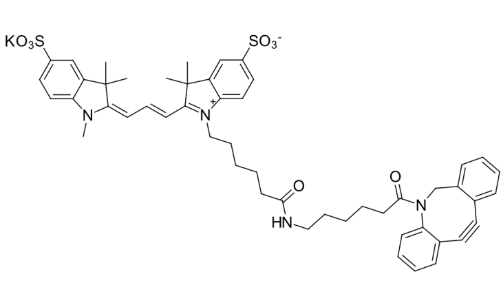 Sulfo-Cyanine3 DBCO一种荧光标记探针的合成与应用