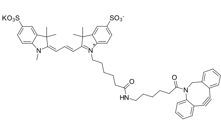 橙红色荧光Sulfo-CY3 DBCO与传统染料的性能比较