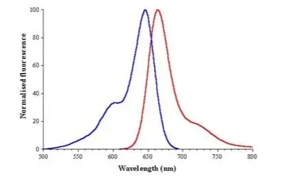 星戈瑞：Sulfo-Cyanine5 NHS ester小分子生物荧光标示染料用于组织观测