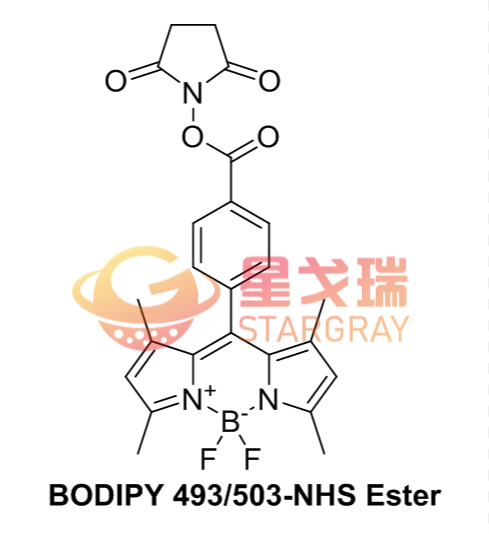 BODIPY 493/503 NHS 酯.png