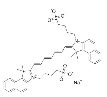 ICG-Streptavidin细胞内信号传导的研究