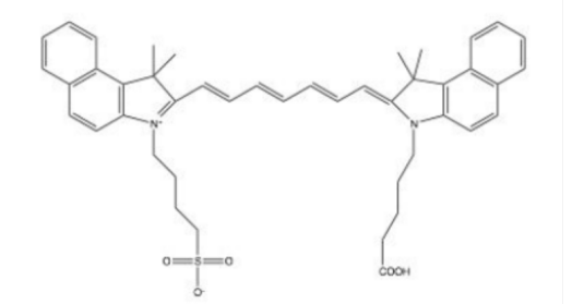 ICG-COOH菁染料标记羧基-胺反应基团产物-星戈瑞