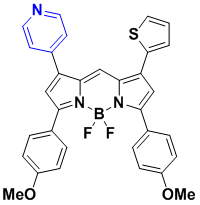 BODIPY-605 650