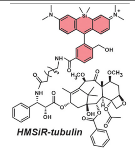 荧光标记 HMSiR-tubulin硅基罗丹明标记微管蛋白