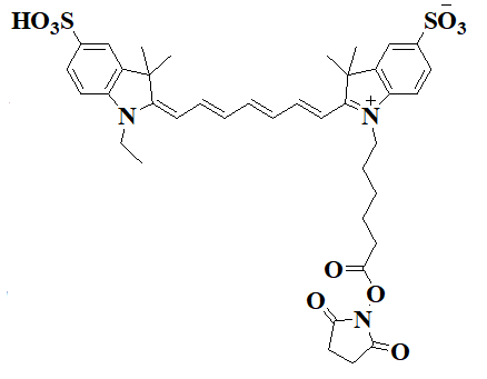 Sulfo-CY7 NHS ester能连接那些不同类型的生物大分子？