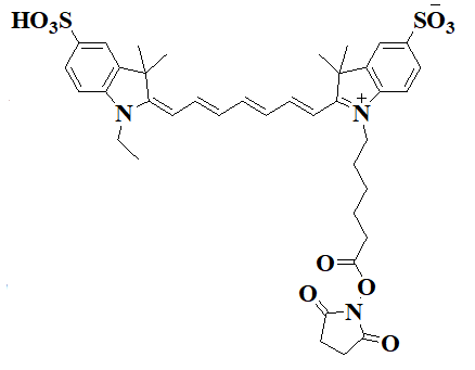 水溶cy7-nhs