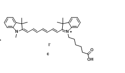 CY7-COOH荧光染料在细胞成像中的应用