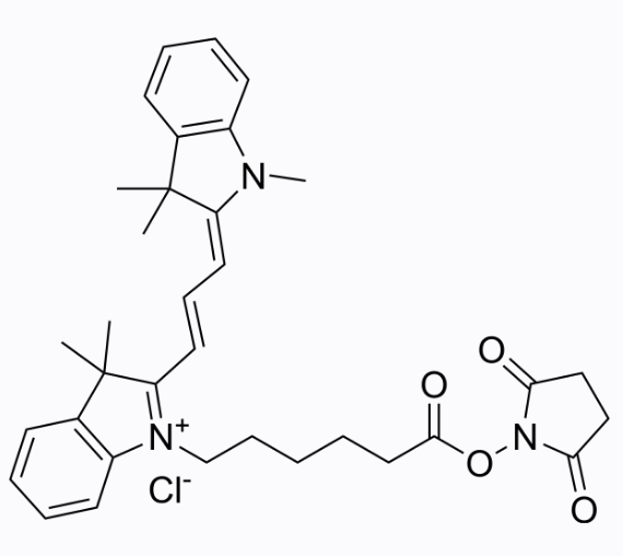 脂溶性CY3-NHS与Sulfo-CY3 NHS ester的区别