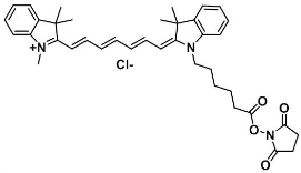 荧光染料Cy7-NHS ester标记蛋白