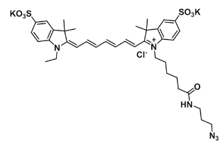 Sulfo-CY7 Azide/磺化CY7-N3在生物学研究中的应用