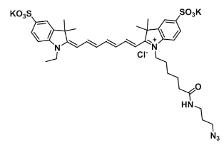 水溶 Cy7-N3/Cyanine7 azide作为分子探针在细胞成像的应用