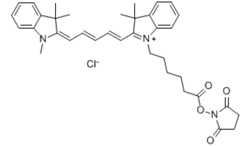 脂溶性Cy7-NHS ester生物分子的标记和检测