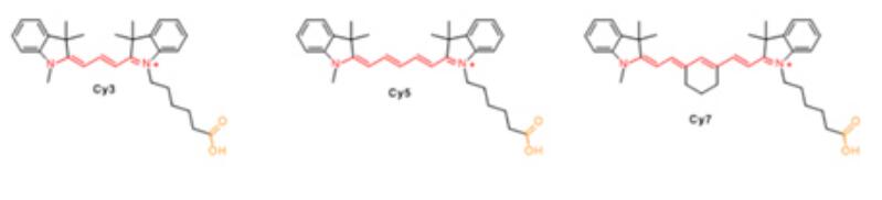 脂溶性Cy染料