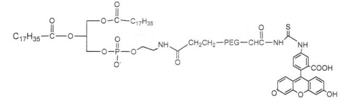 DSPE-PEG-FITC