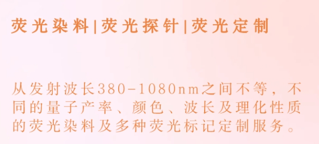 CY5.5-HA50K 红色菁染料标记透明质酸