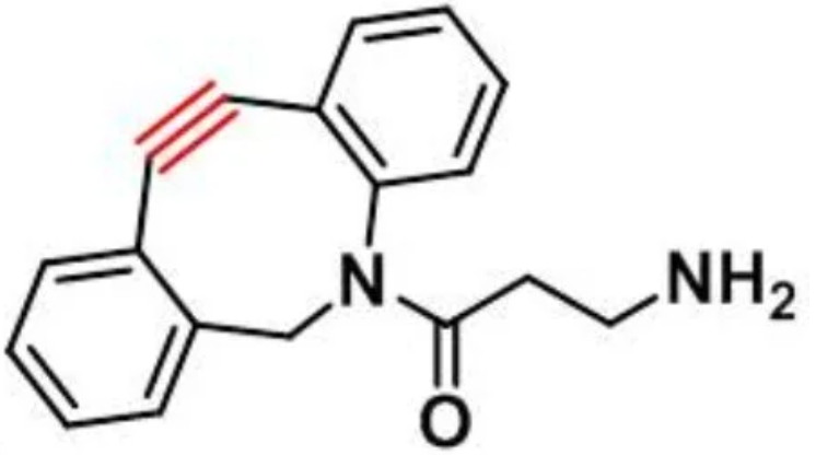 DBCO-NH2在生物学研究中的应用