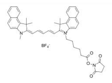 CY3.5-NH2与CY5.5-NH2、CY7.5-NH2不同应用