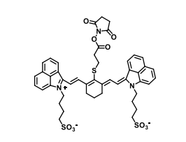 FD-1080 NHS荧光染料的特性