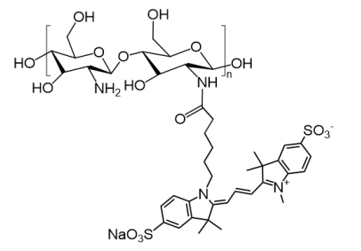 CY7-Chitosan：壳聚糖与花氰染料Cy7的共价偶联