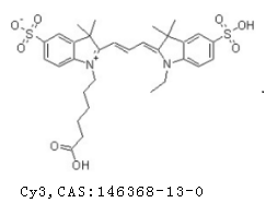 CY3荧光标记胆固醇 CY3-CHO
