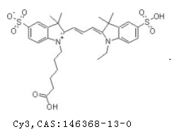 CY3