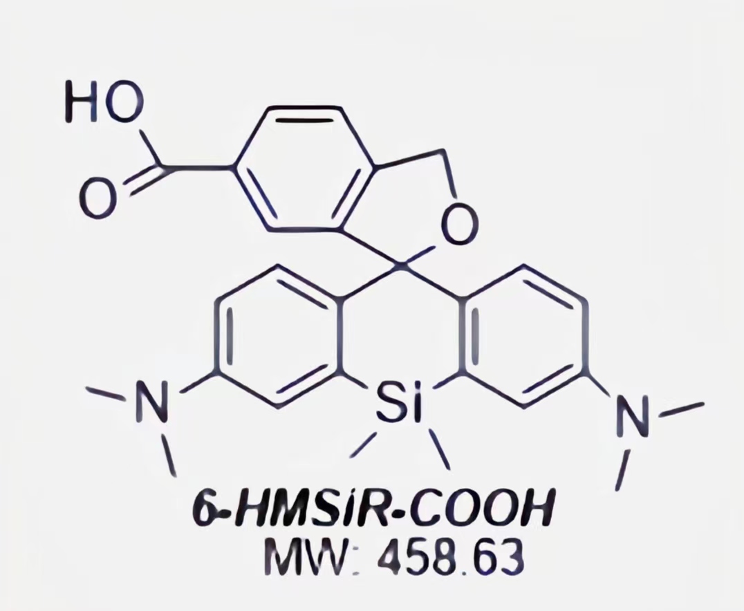 SiR-COOH与其他生物分子或纳米材料偶联