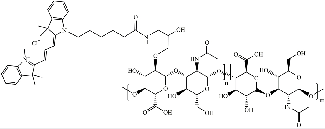 CY3-透明质酸：作为荧光探针在透明质酸标记的介绍