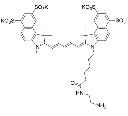 ‌Sulfo-Cy5.5-NH2科研常见问答