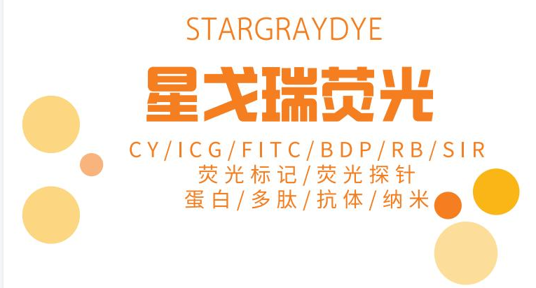 荧光品牌宣传册@星戈瑞stargraydye!